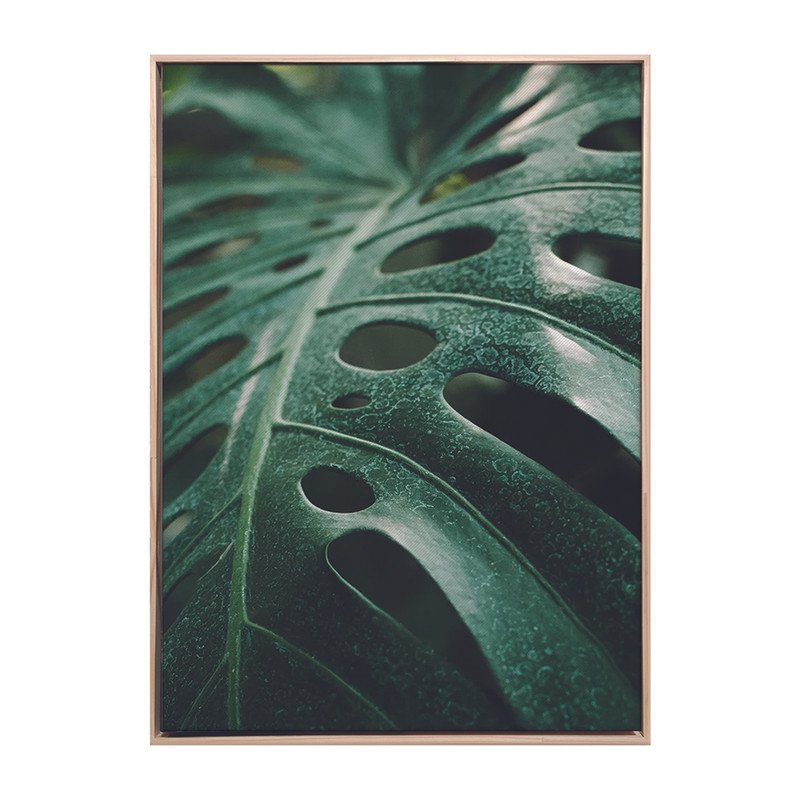 Quadro Canvas Decorativo Costela de Adão Folhagem Verde