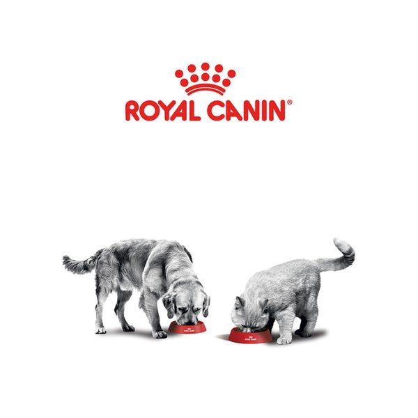 Royal Canin X-Small Adult Dog