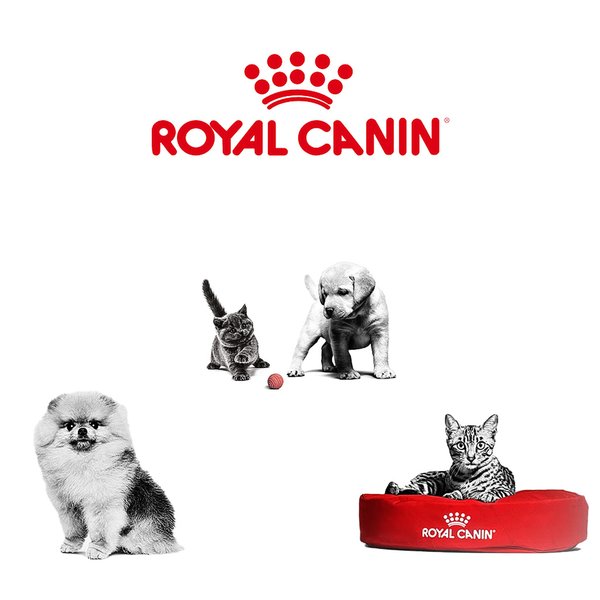 Royal Canin X-Small Adult - Alimento Seco para Cão Adulto de Porte