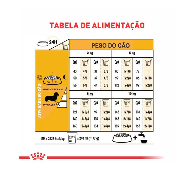 royal-canin-dachshund-adultos