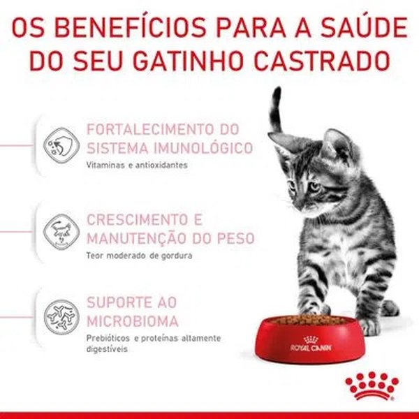 Royal Canin Premium Cat Filhotes