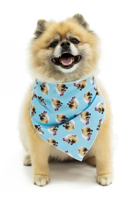 Jogo Americano Pet Formas Azul Personalizado – Cane Produtos Pet