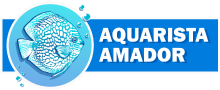 Aquarista Amador