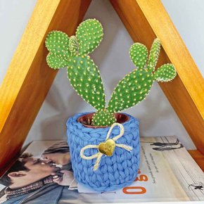 mini cachepo de croche de malha azul