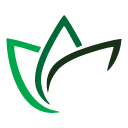 Logo de Bellapaper
