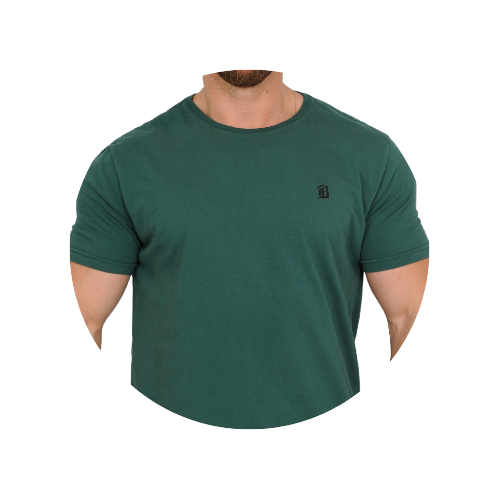 camiseta masculina masculino bluhen kingston verde