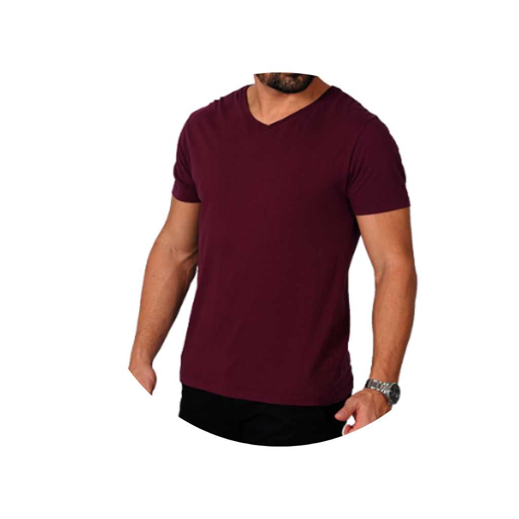 camiseta gola v masculina bluhen bordo quebec algodao basica lisa 4 4