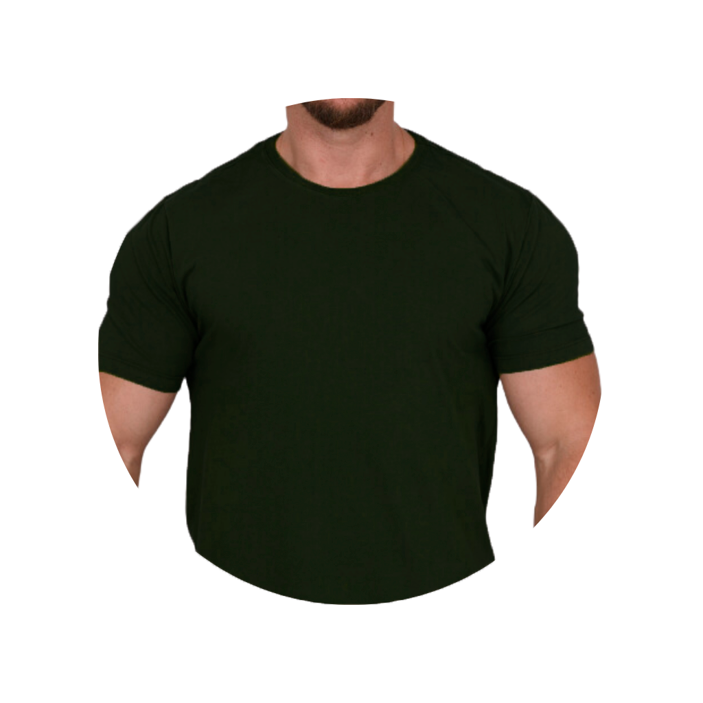 camiseta masculina bluhen verde basica tradicional ransey 12