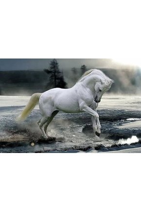 Poster grande horse snow 95x65 - 1236849