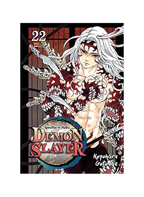 demon slayer 22