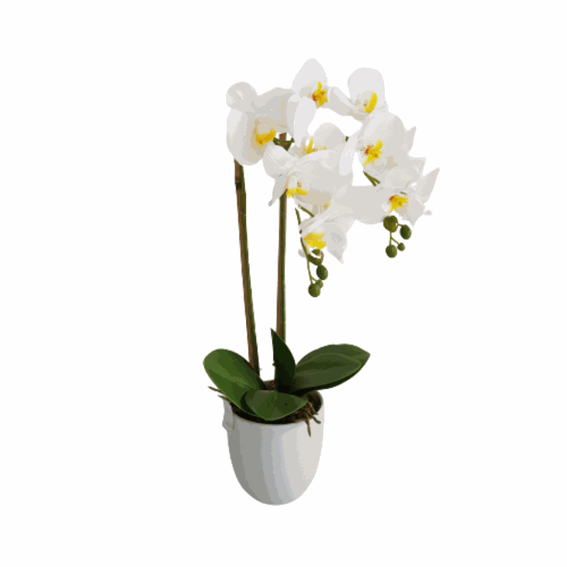 Arranjo Orquídeas Artificiais Silicone Branca + Vaso