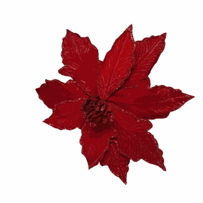 Flor Natalina Poinsétia Vermelha Veludo 55cm