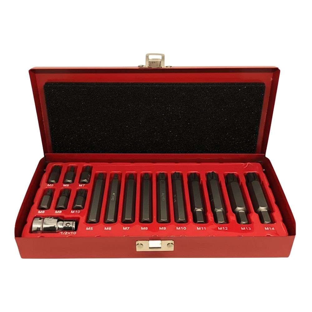 JG DE BITS TORX T20 a T55 10mm 15 PÇS VIP