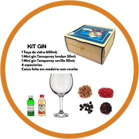 kit gin tanqueray sevilla taca especiaria
