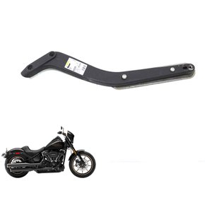 2020 low rider shop s sissy bar