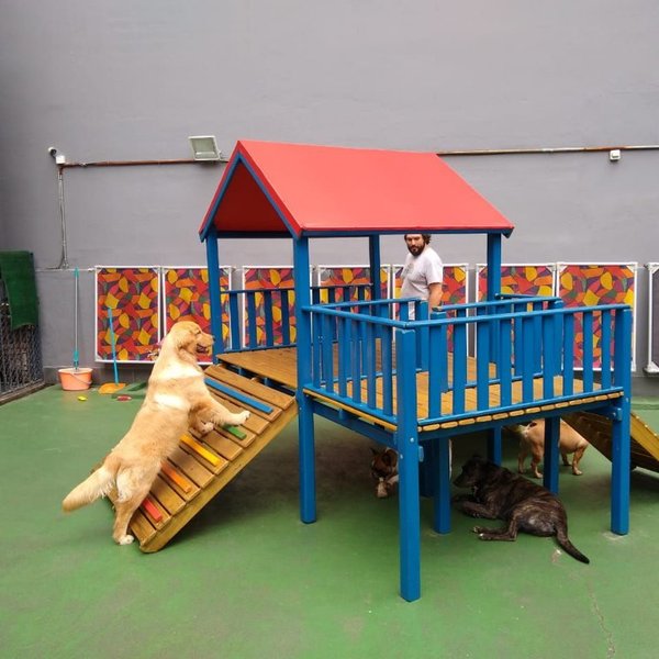 Casinha com 02 Escaladas - PET Casinha com 02 Escaladas - PET