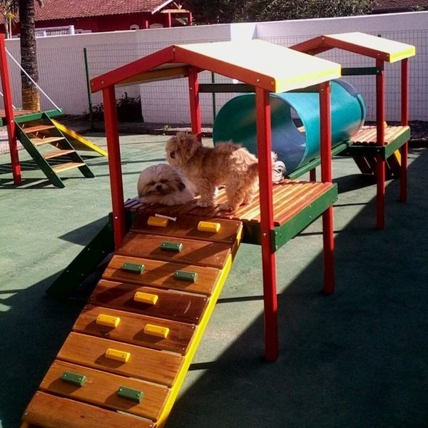 Casinha Dupla com Tubo com 04 Subidas - Pet Casinha Dupla com Tubo com 04 Subidas - Pet
