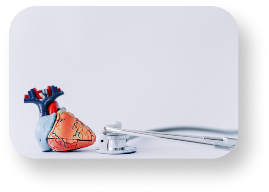 stethoscope and realistic heart