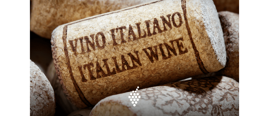 Descubra a riqueza dos vinhos Italianos: Uma Jornada pelos Sabores e Tradições