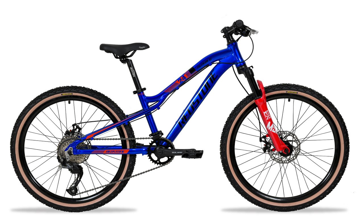 Mountain bike best sale aro 24