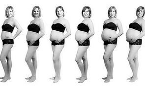 evolução barriga de gravida