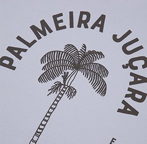 camiseta acai