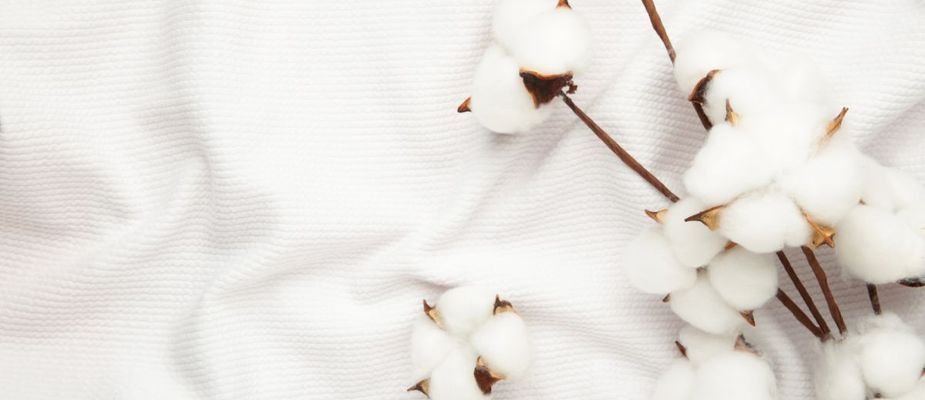 6 motivos para escolher o tecido de algodão para sua roupa de cama.
