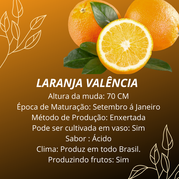 O que é ser um laranja?