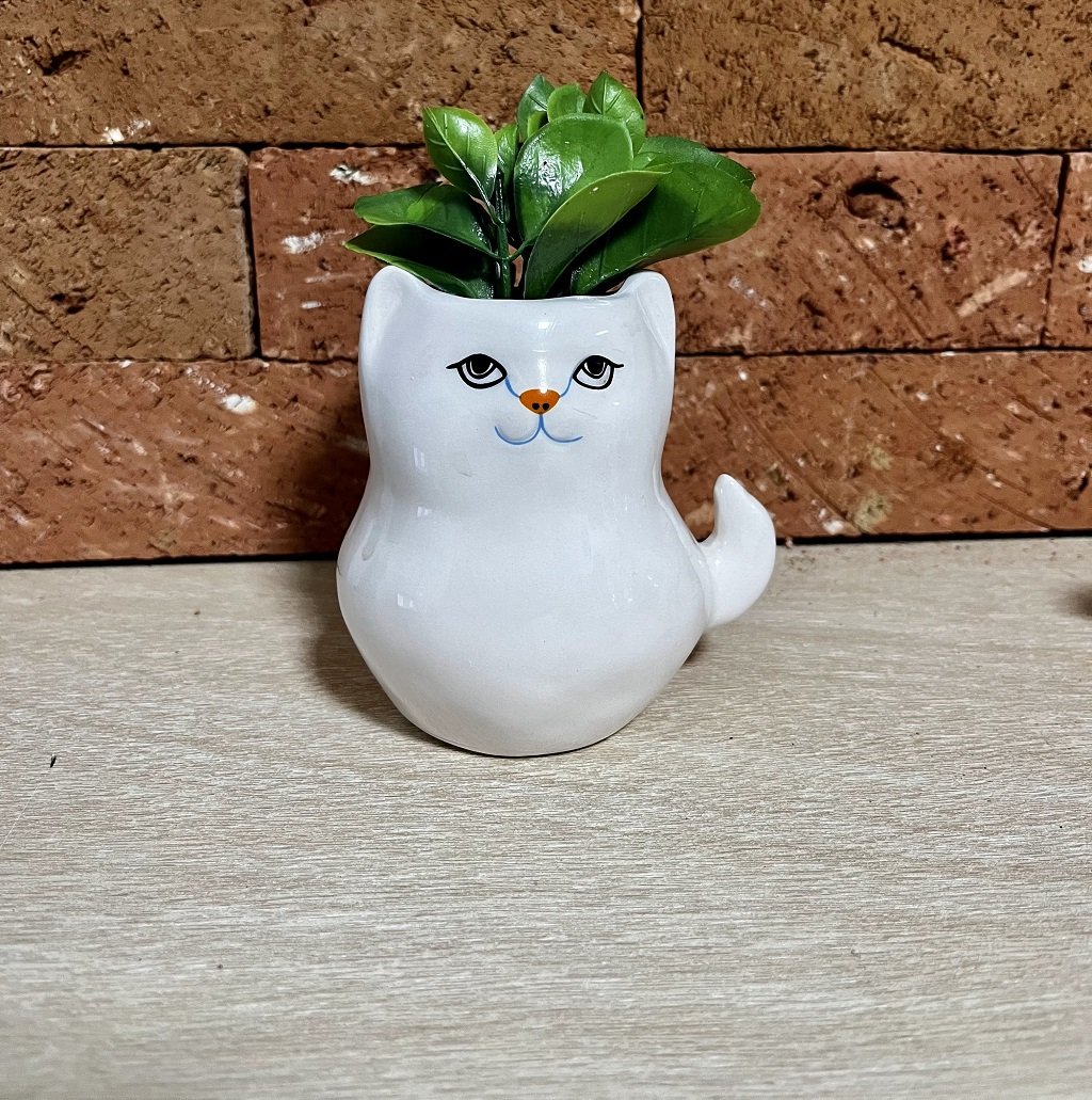 cacchepot gatinho com planta pixel