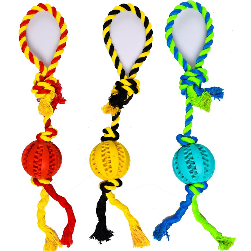 BOLINHA RUGBI DENTAL PLAY C/ALCA 9x5x48cm SORTIDO