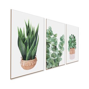 trio de quadros decorativos plantas verde