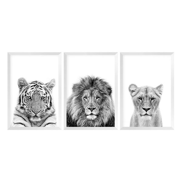 Kit 3 Quadros com Moldura Animais Decoração Moderno Sala Kit 3 Quadros com Moldura Animais Decoração Moderno Sala