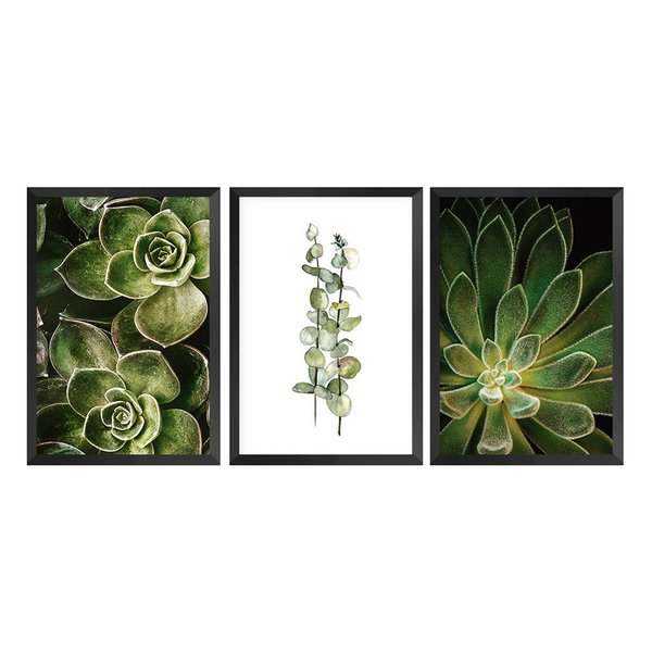 Kit 3 Quadros com Moldura Plantas Folhas Decoração Cozinha Kit 3 Quadros com Moldura Plantas Folhas Decoração Cozinha