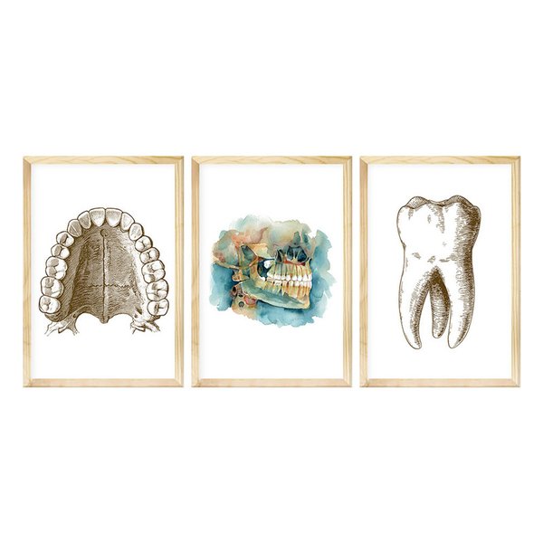 Kit 3 Quadros Decorativos para Sala Consultório Dentista Kit 3 Quadros Decorativos para Sala Consultório Dentista