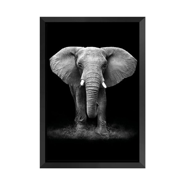 Quadro com Moldura Elefante Elegante Escritório Quadro com Moldura Elefante Elegante Escritório