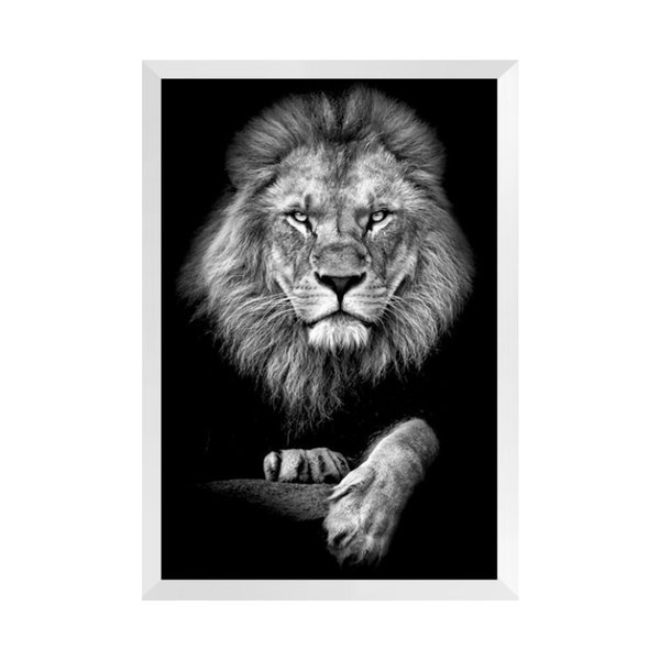 Quadro com Moldura Branca Leão Elegante Escritório Sala Quadro com Moldura Branca Leão Elegante Escritório Sala