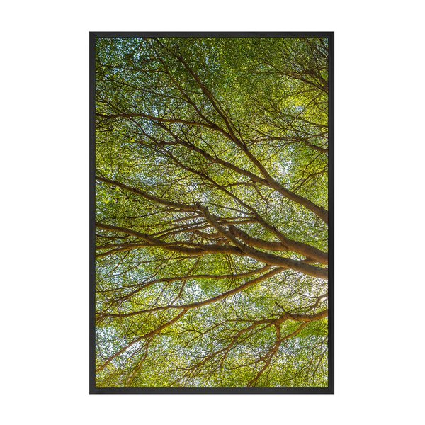 Quadro Decorativo Sala Grande Paisagem Árvore Moldura 85x60