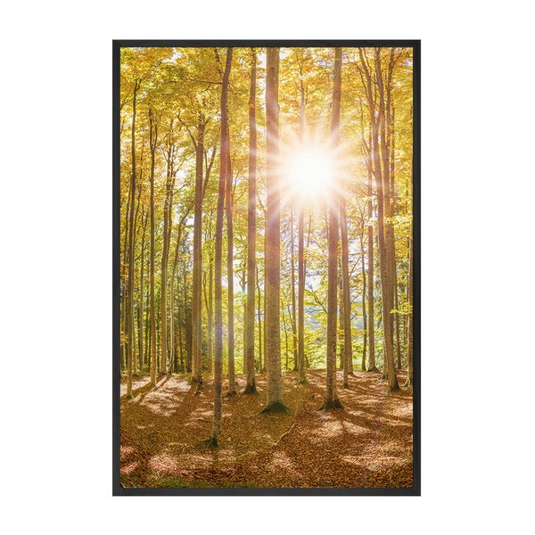Quadro Grande para Decoração Paisagem Árvores Sala Cozinha Quadro Grande para Decoração Paisagem Árvores Sala Cozinha