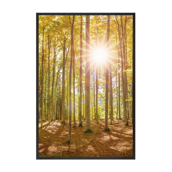 Quadro Decorativo Três Telas - Árvore Grande - 180x120cmNatureza / Paisagens