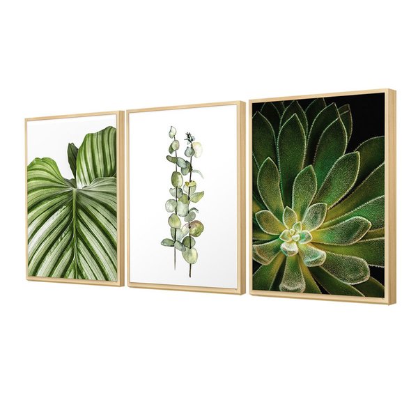 Trio de Quadros Decorativos Plantas Folhagem Cozinha Sala Trio de Quadros Decorativos Plantas Folhagem Cozinha Sala
