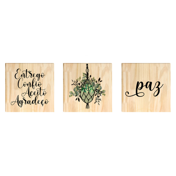 Kit 3 Quadros Decorativos Pinus 30x30cm Frases Gratidão Plantas Kit 3 Quadros Decorativos Pinus 30x30cm Frases Gratidão Plantas