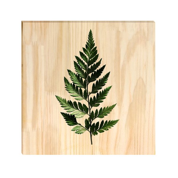 Quadro Decorativo Pinus Plantas Jardim Folhagens para Sala Hall Quadro Decorativo Pinus Plantas Jardim Folhagens para Sala Hall