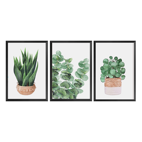 trio quadros plantas delicado simples plantas verde