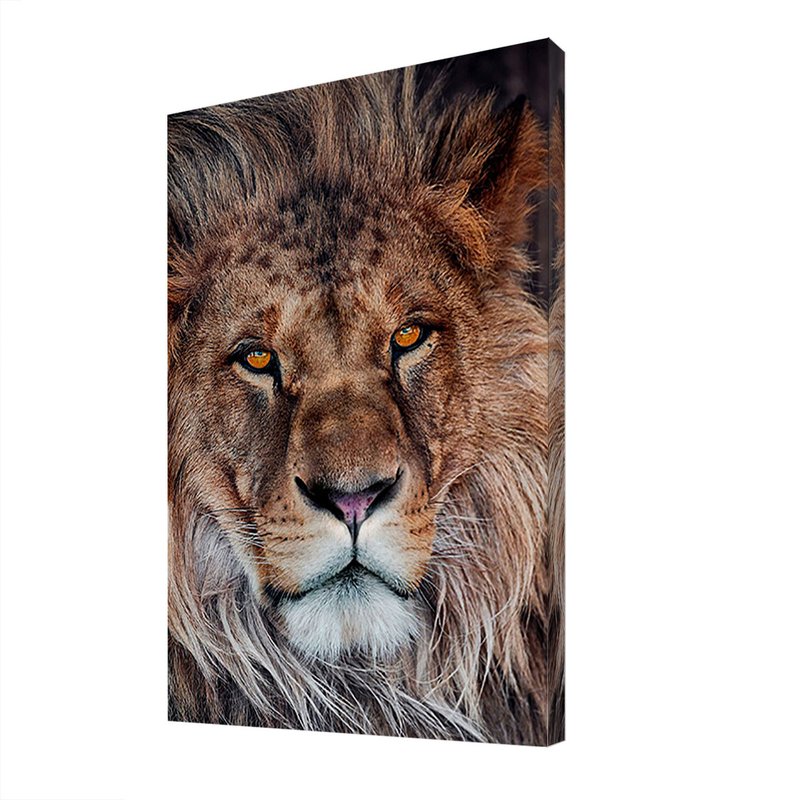 Quadro Canvas Decorativo Animal Selvagem Leão