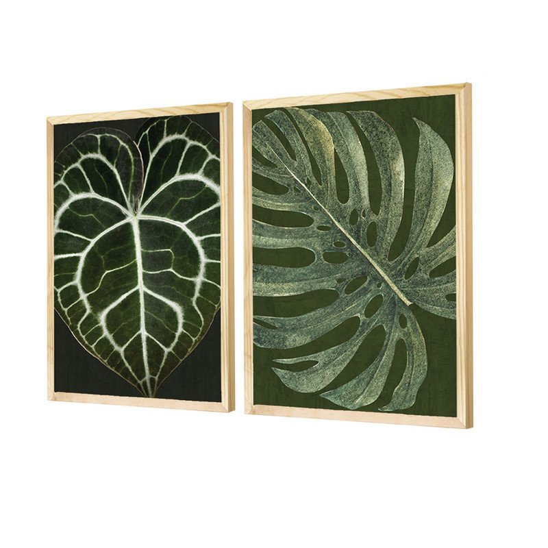 Dupla De Quadros Decorativos Folhagens Verdes Plantas Camicado