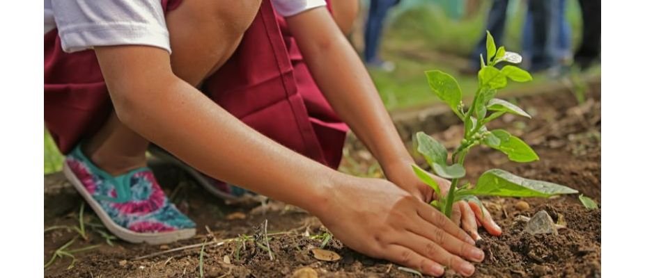 Como ensinar crianças sobre o meio ambiente na educação infantil?