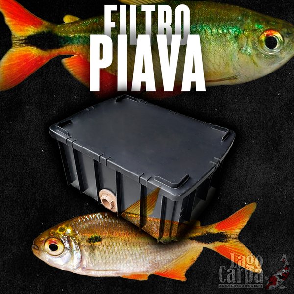 Filtro Piava Filtro Piava