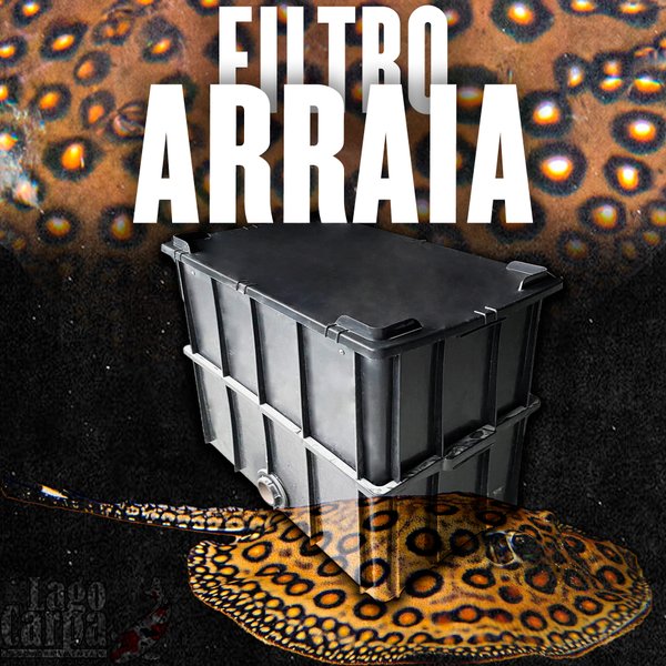 Filtro Arraia Filtro Arraia