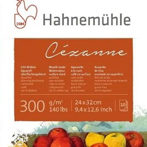 Bloco Hahnemühle Cézanne 100% Algodão C/10 Folhas 300GR