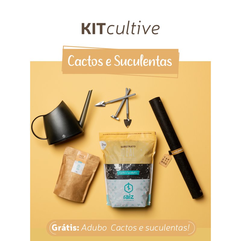 kit cultive cactos e suculentas
